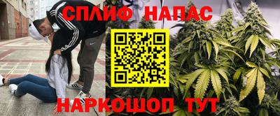 сатива Сланцы