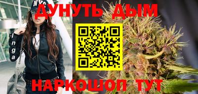 сатива Сланцы